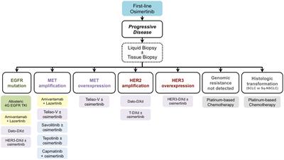 The great need to overcome osimertinib resistance in advanced non-small cell lung cancer: from combination strategies to fourth-generation tyrosine kinase inhibitors
